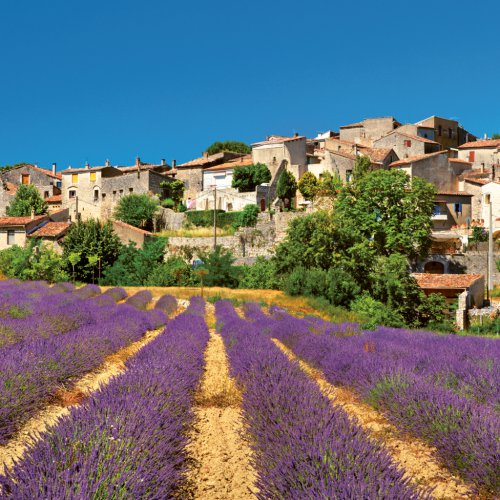 Poznámkový kalendář Provence 2024, voňavý, 30 × 30 cm - obrázek