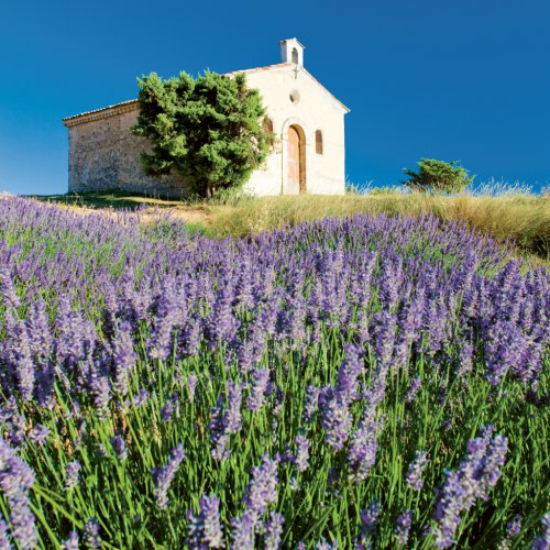 Poznámkový kalendář Provence 2024, voňavý, 30 × 30 cm - obrázek