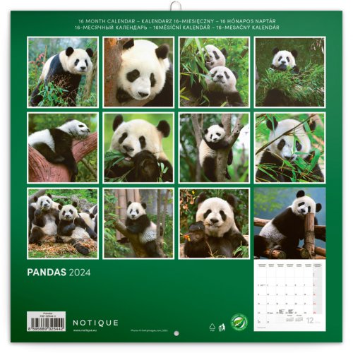Poznámkový kalendář Pandy 2024, 30 × 30 cm - obrázek