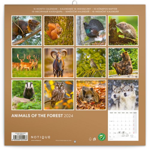 Poznámkový kalendář Zvířátka z lesa 2024, 30 × 30 cm - obrázek