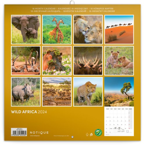 Poznámkový kalendář Divoká Afrika 2024, 30 × 30 cm - obrázek