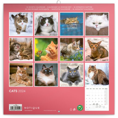 Poznámkový kalendář Kočky 2024, 30 × 30 cm - obrázek