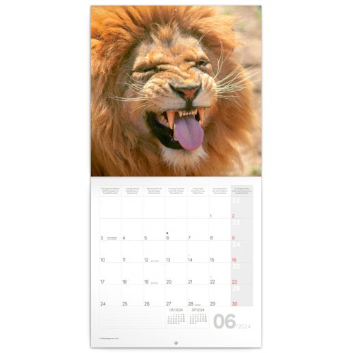 Poznámkový kalendář Úsměv, prosím 2024, 30 × 30 cm - obrázek