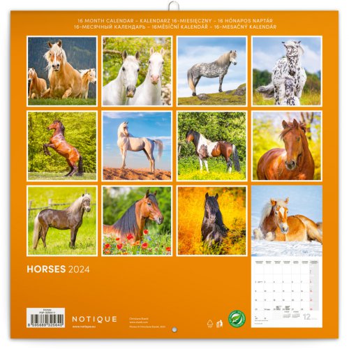 Poznámkový kalendář Koně – Christiane Slawik 2024, 30 × 30 cm - obrázek