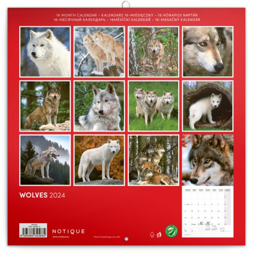 Poznámkový kalendář Vlci 2024, 30 × 30 cm - obrázek