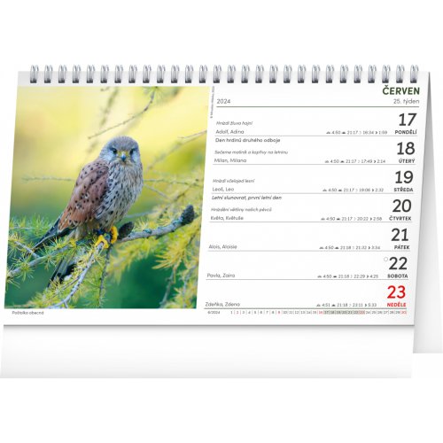 Stolní Myslivecký kalendář 2024, 23,1 × 14,5 cm - obrázek