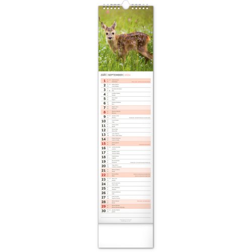 Nástěnný kalendář Lesní zvěř – Lesná zver 2024, 12 × 48 cm - obrázek