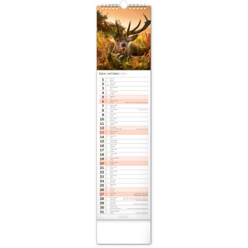 Nástěnný kalendář Lesní zvěř – Lesná zver 2024, 12 × 48 cm - obrázek