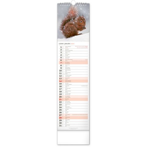 Nástěnný kalendář Lesní zvěř – Lesná zver 2024, 12 × 48 cm - obrázek