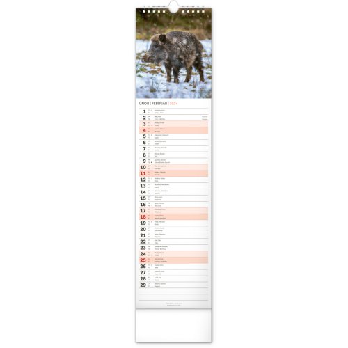 Nástěnný kalendář Lesní zvěř – Lesná zver 2024, 12 × 48 cm - obrázek