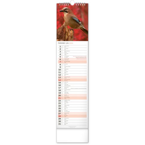 Nástěnný kalendář Lesní zvěř – Lesná zver 2024, 12 × 48 cm - obrázek