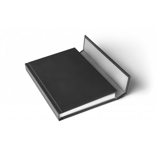 Týdenní magnetický diář Alfons Mucha 2024, 11 × 16 cm - obrázek