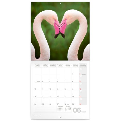 Poznámkový kalendář Mláďata 2024, 30 × 30 cm - obrázek