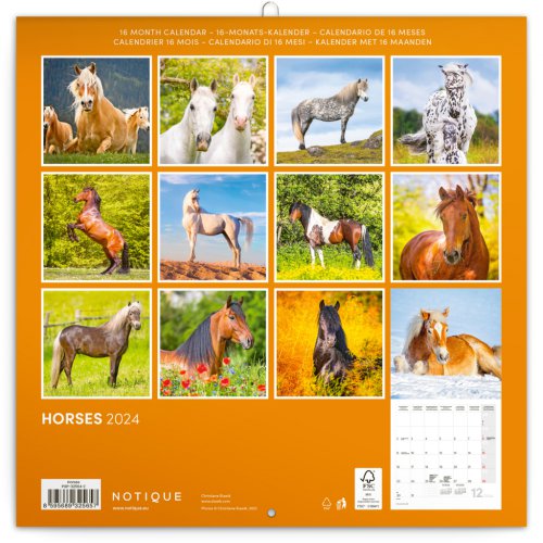 Poznámkový kalendář Koně – Christiane Slawik 2024, 30 × 30 cm - obrázek