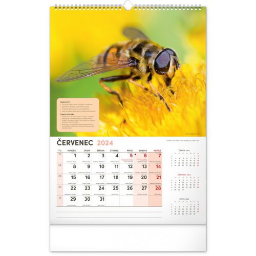 Nástěnný Včelařský kalendář 2024, 33 × 46 cm - obrázek