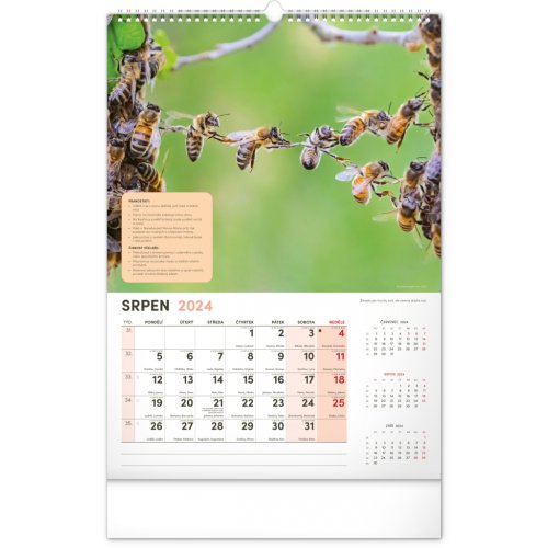 Nástěnný Včelařský kalendář 2024, 33 × 46 cm - obrázek
