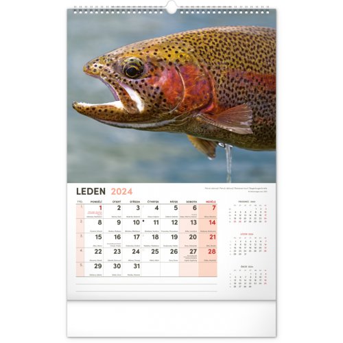 Nástěnný kalendář Rybářský 2024, 33 × 46 cm - obrázek