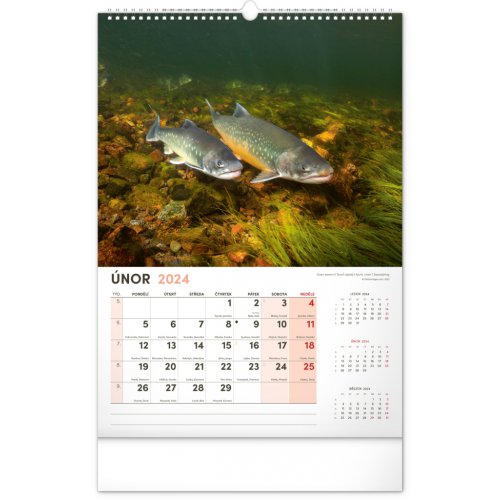 Nástěnný kalendář Rybářský 2024, 33 × 46 cm - obrázek