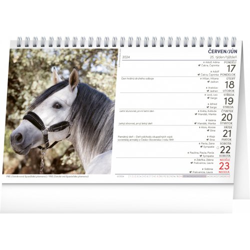 Stolní kalendář Koně – Kone CZ/SK 2024, 23,1 × 14,5 cm - obrázek