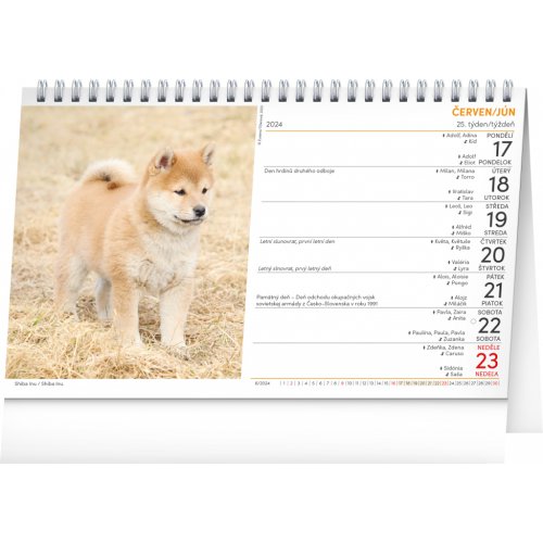 Stolní kalendář Psi – Psy CZ/SK 2024, 23,1 × 14,5 cm - obrázek