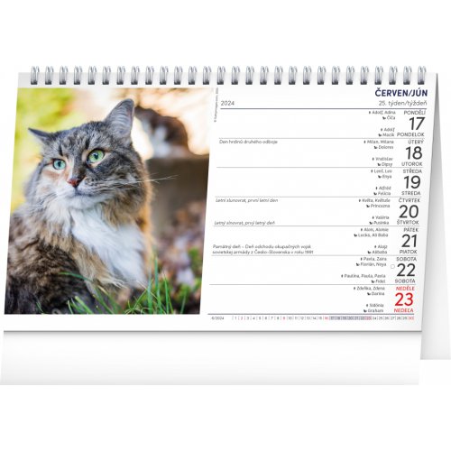 Stolní kalendář Kočky – Mačky CZ/SK 2024, 23,1 × 14,5 cm - obrázek