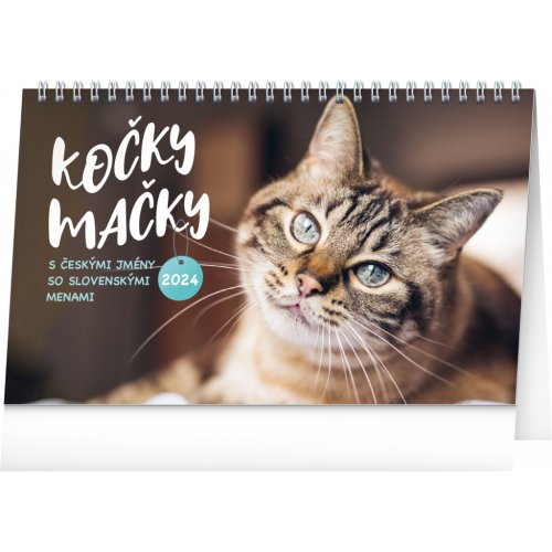 Stolní kalendář Kočky – Mačky CZ/SK 2024, 23,1 × 14,5 cm