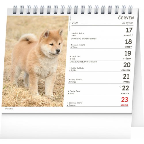 Stolní kalendář Psi – se jmény psů 2024, 16,5 × 13 cm - obrázek