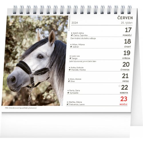 Stolní kalendář Poezie koní 2024, 16,5 × 13 cm - obrázek