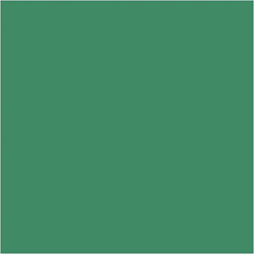 PĚNOVKA EVA 10 ks tmavá zelená - obrázek