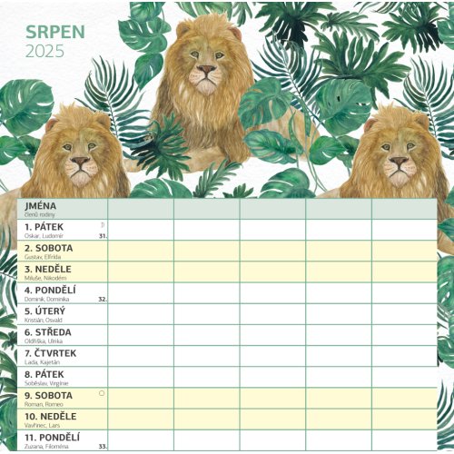 Rodinný plánovací kalendář 2025 - 30 x 30 cm - obrázek