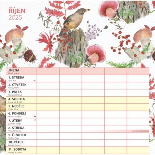 Rodinný plánovací kalendář 2025 - 30 x 30 cm - obrázek