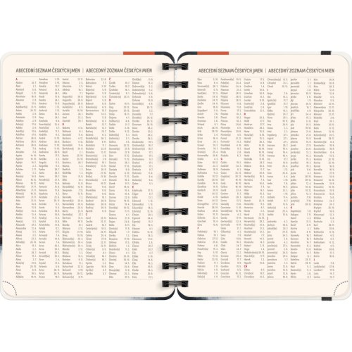 Diář 18-ti měsíční spirálový NOTIQUE Petito – Japonsko 2025/2026, 13 x 18 cm - obrázek