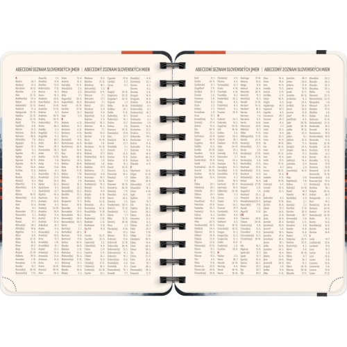 Diář 18-ti měsíční spirálový NOTIQUE Petito – Japonsko 2025/2026, 13 x 18 cm - obrázek