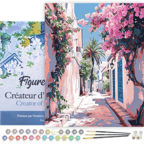 Malování podle čísel - ROZKVETLÁ ULIČKA na rámu 40 x 50 cm - FA10545-Y-02.jpg