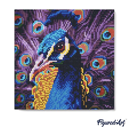 Mini diamantové malování - KRÁSNÝ PÁV bez rámu 25 x 25 cm - DP-SFA186-13.jpg