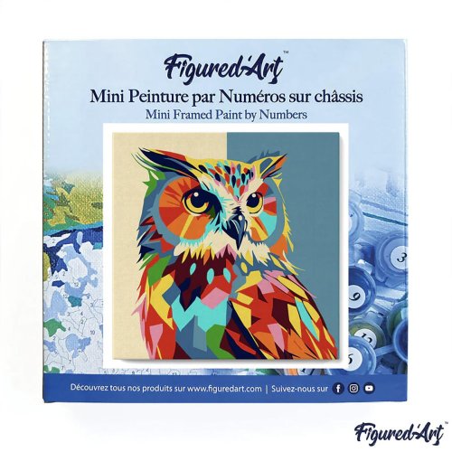 Mini malování podle čísel - SOVA POP ART na rámu 20 x 20 cm - SFA094-03.jpg