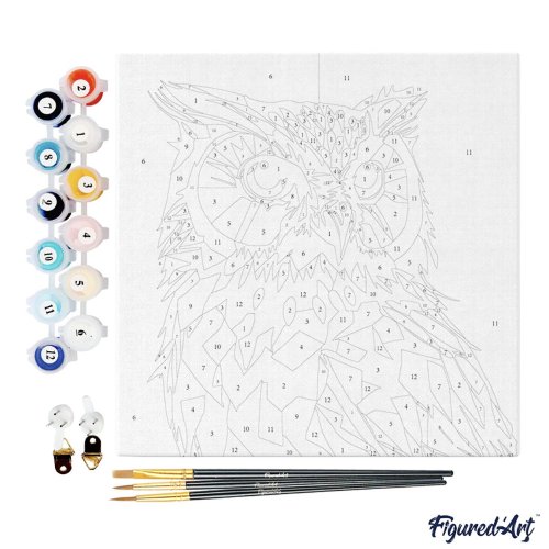 Mini malování podle čísel - SOVA POP ART na rámu 20 x 20 cm - SFA094-04.jpg