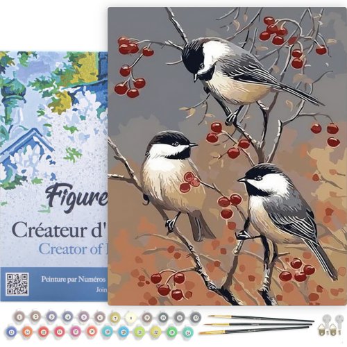 Malování podle čísel - PTÁČCI NA OVOCNÉM STROMU na rámu 40 x 50 cm - PN554-Y-02.jpg