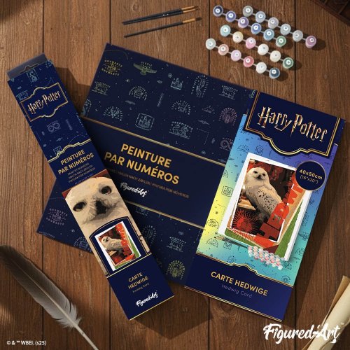 Malování podle čísel - HARRY POTTER - SOVA HEDVIKA 40 x 50 cm na rámu - WB00021-Y_2.jpg