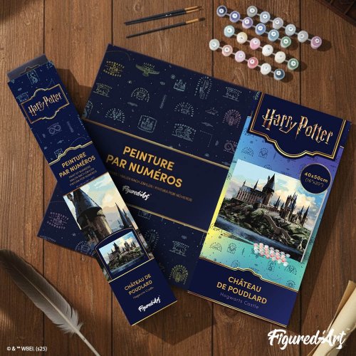 Malování podle čísel - HARRY POTTER - BRADAVICKÝ HRAD 40 x 50 cm bez rámu - WB00025_2.jpg