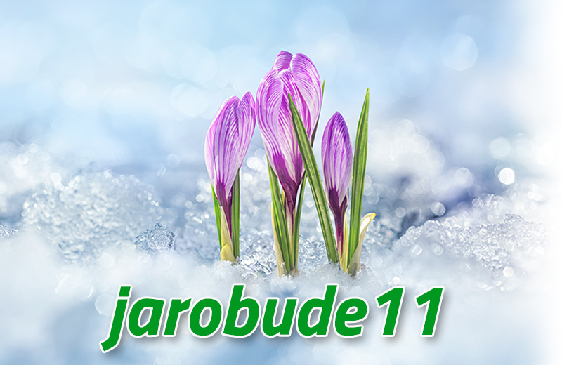 jarobude11